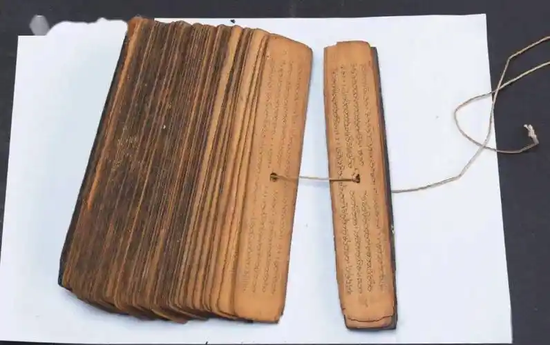 心安即是归处——稀世贝叶经_叶片_档案_保护