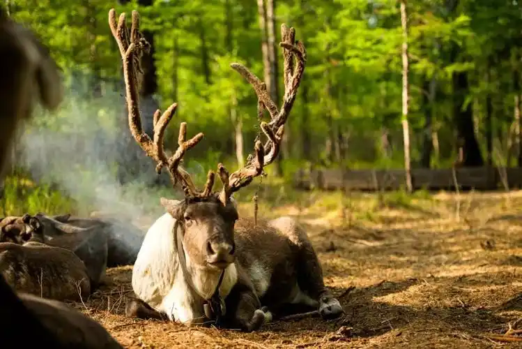 这100张照片就是去内蒙古的全部理由