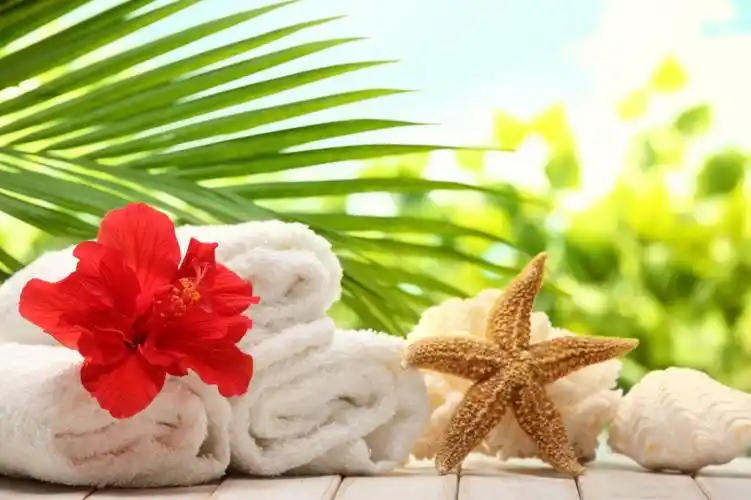 图片大全 设计素材 唯美海滩物品图片 > 唯美海滩物品图片 第8张