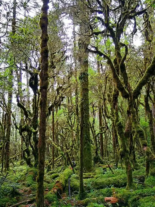 西游漫记(中国最顶级的无人区徒步越野死亡之路)