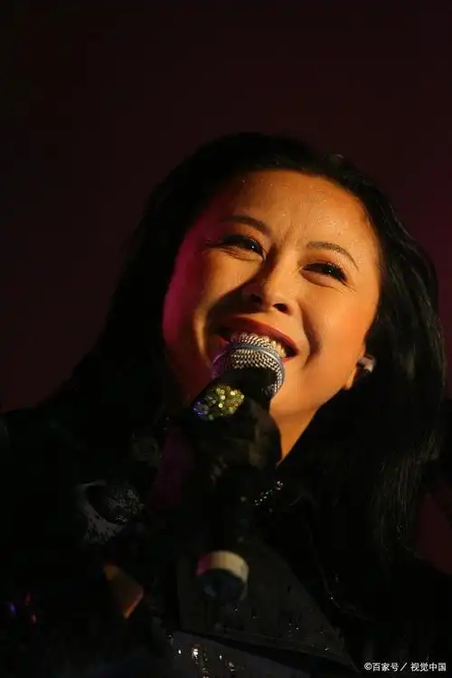 颁奖礼上掀翻风云田震摔话筒与那英撕破脸现状引热议