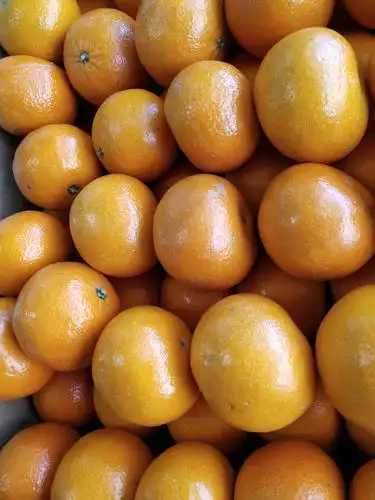 定州市鲜之美农业科技有限公司是一家全国连锁以及休闲食品水果超市