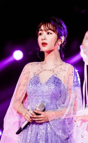 1月1日 21:59   关注  明星 杨紫 评论 收藏