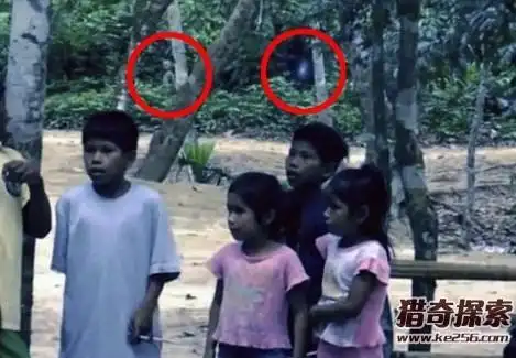 首页 ufo事件 正文内容  1,英国游客在巴西雨林中拍到疑似外星人视频