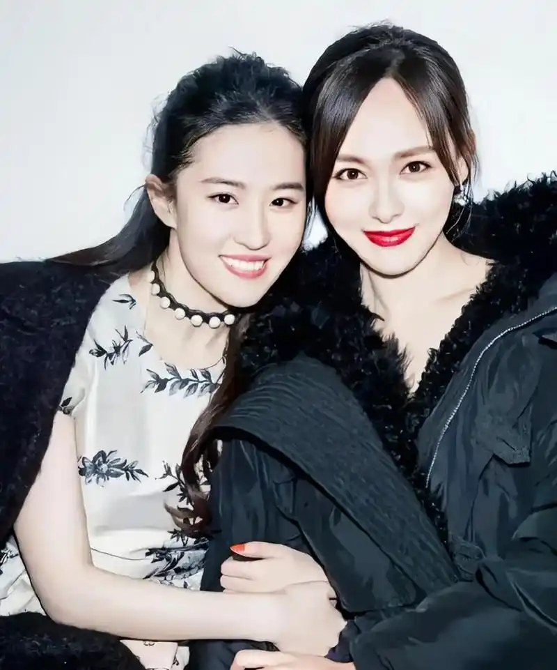 刘亦菲和唐嫣两大美女同框,两人的气质不同,五官颜值也是各有胜场.