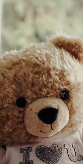 玩偶公仔小熊壁纸【熊图片大全可爱壁纸】