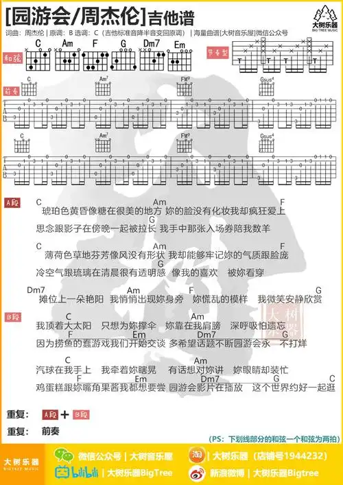 《园游会》周杰伦-吉他谱-大树乐器-大树音乐屋