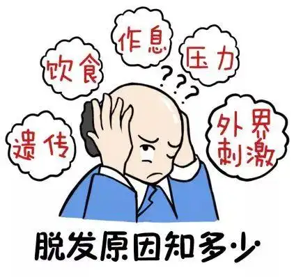 脱发掉发到什么程度,算是头发稀疏?