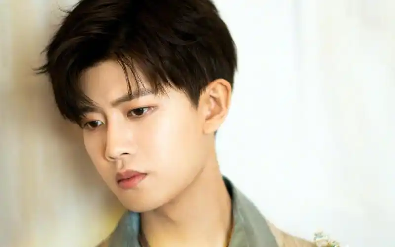 任嘉伦星星贴纸时尚中国风套装迷人写真,大陆明星-回车桌面