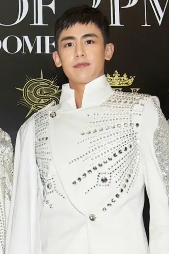 2pm尼坤演唱会泣不成声 承认酒驾错误