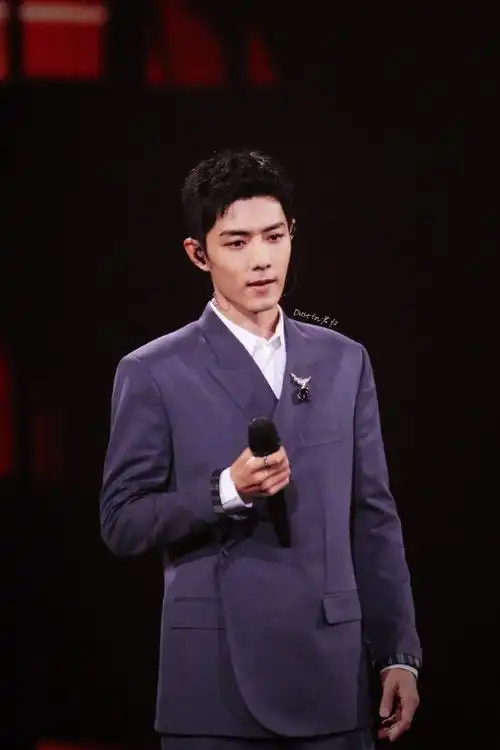 肖战20201220星光大赏