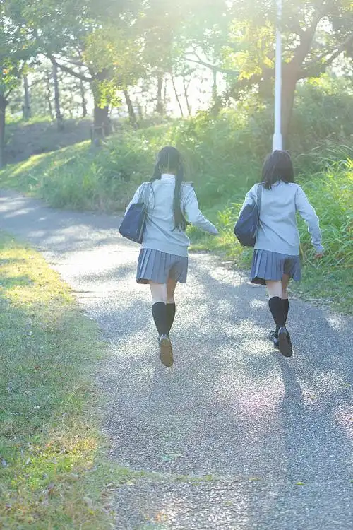 高中生 背影 学生图片_高中生 背影 学生高清图片素材库