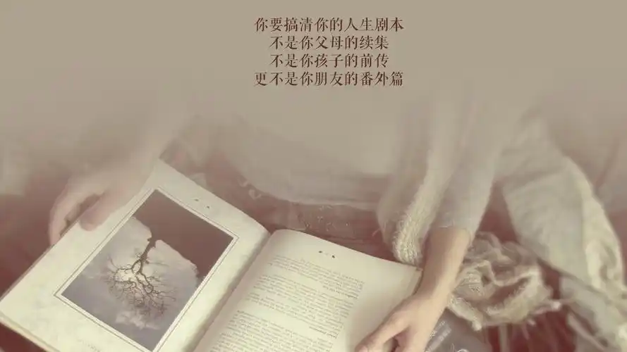 31m上传时间:2020-06-16壁纸标签:文字控剧本壁纸封面图文字控 剧本