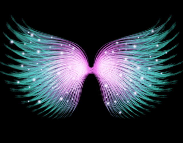 天使的翅膀