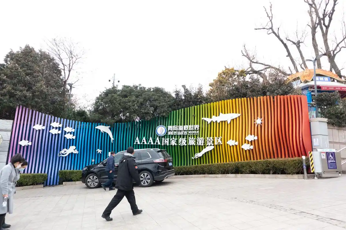 青岛海底世界:小朋友的最爱,亲子游首选目的地