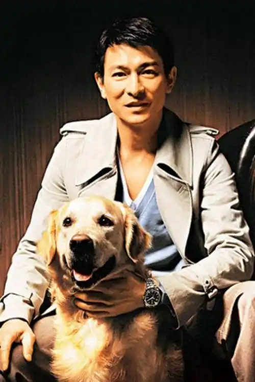 刘德华与朱丽倩的婚姻中,朱丽倩付出了很多_关系_女人_喻可欣