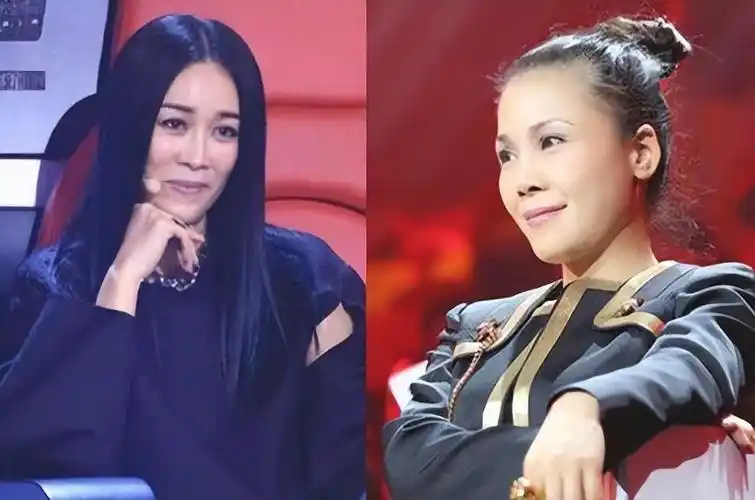 被老师评为"好嗓子,狗脑子"的那英什么时候会真正反思