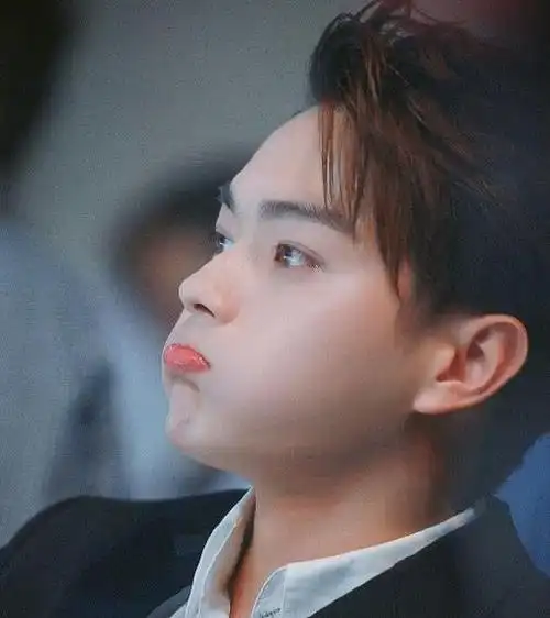 我们平时看到的许凯都是酷酷的,非常的有"总裁范",可是看到许凯卖萌的