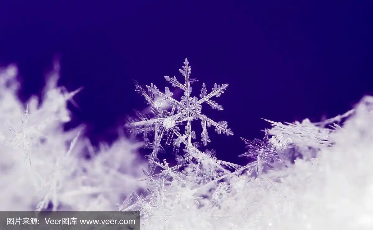 天然雪花,照片真实的雪花在下雪期间