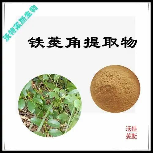 铁菱角提取物 10:1比例提取,长管香茶菜提取物, 铁拳头提取物,    铁