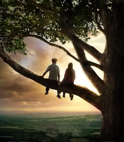 电影推荐:6部经典的爱情影片 重温仍然感动!