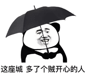 这座城,多了个贼开心的人