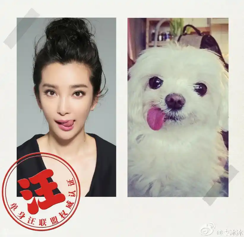新浪娱乐讯 11月11日,李冰冰晒出一组模仿狗狗表情的照片,照片中她或
