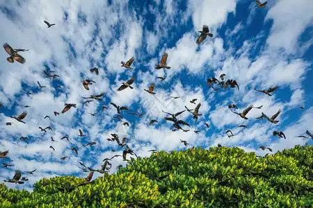 草稿纸满天飞图片