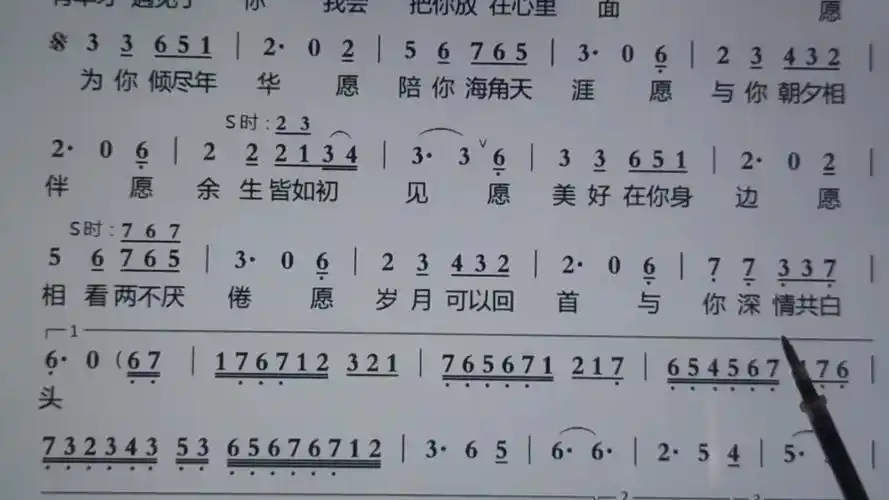 词谱对照视唱愿为你简谱识谱唱谱