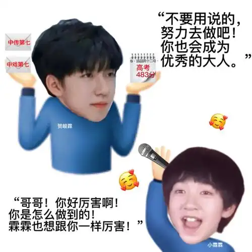 贺峻霖表情包 | 优秀的18岁