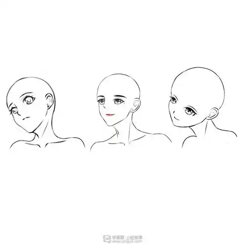 作业:动漫人物头部仰视,俯视的画法训练 - rh-227-070 一只沙雕