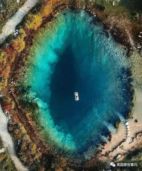 国外网友的深海恐惧症板块不敢看不敢看