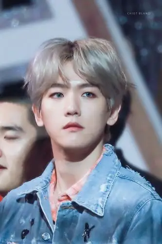 exo边伯贤#银发#2017金唱片#壁纸#头像