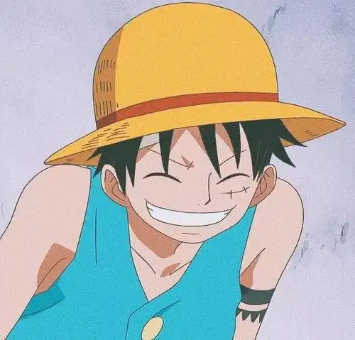 海贼王路飞微信头像 - 搜狗图片搜索