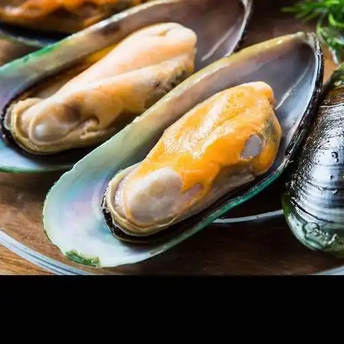 大洋世家oceanfamily速冻新西兰青口贝m450g盒装1020只海鲜贝壳