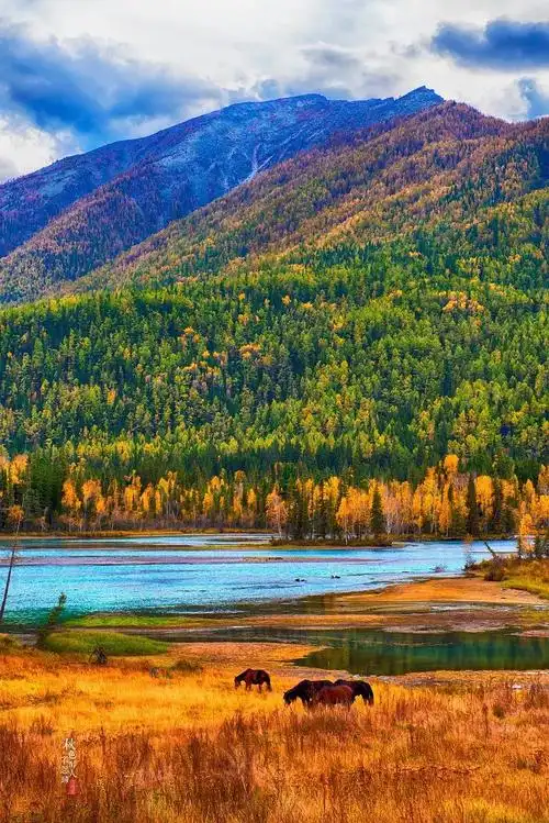 新疆 一个美了一年四季的地方