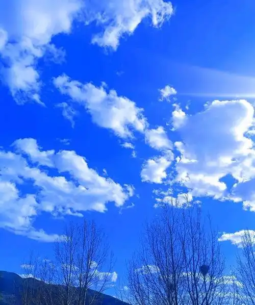 九首通俗易懂的经典元曲,意境优美,值得一读再读