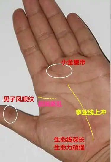 付出最少的生肖女__还津阁