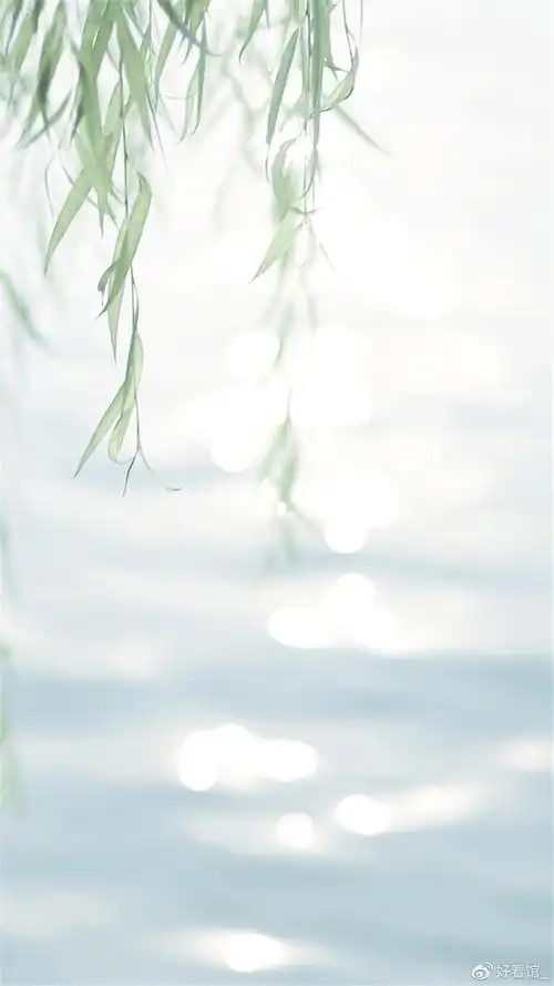 小清新系列壁纸手机壁纸小清新小清新图片唯美简约第134期