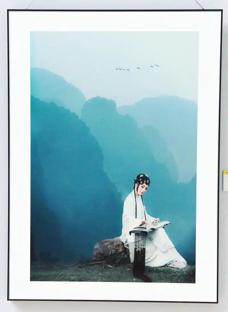 第三届"郎静山杯"中国新画意摄影展欣赏#生活一定要五颜六色  - 抖音