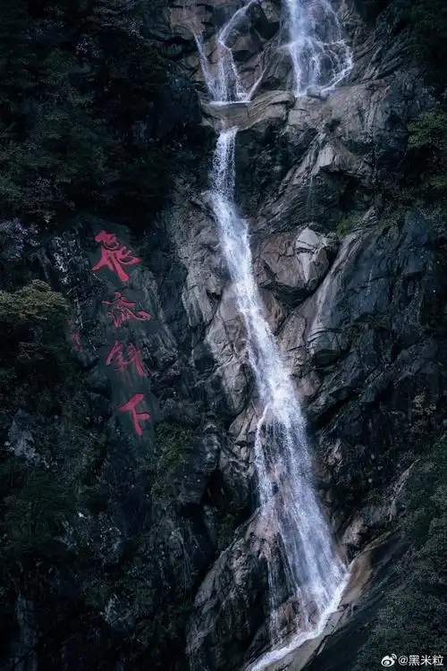 去明月山看花花世界##微博旅行家##五一去明月山放肆撒野