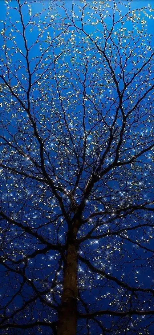 背景图高清微信聊天背景图