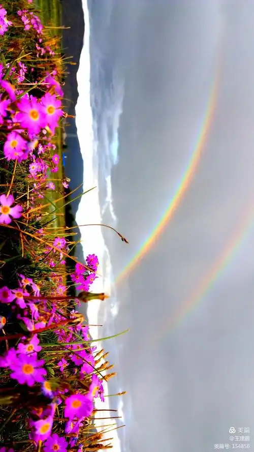 风雨彩虹