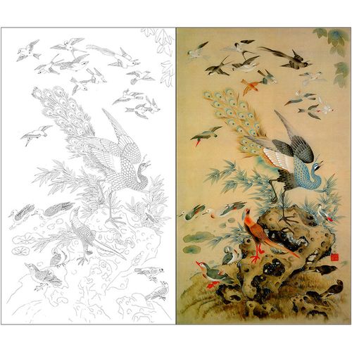 tp402工笔画百鸟朝凤白描底稿国画花鸟临摹练习线描稿实物打印稿