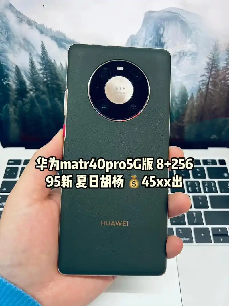 华为mate40pro5g版8256