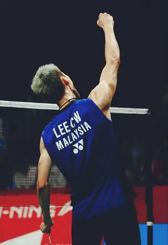 李宗伟实战证明他用的d10lcw确是涂装拍