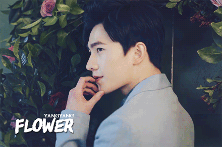杨洋动图