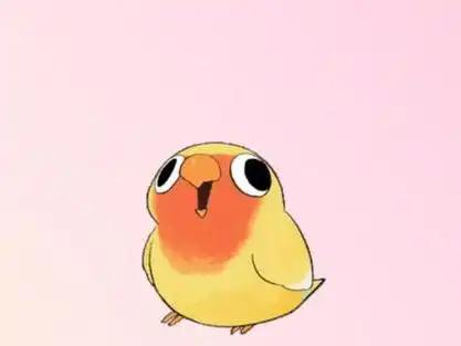 小鸟摇头表情包 #鹦鹉摇头表情包 #太魔性了