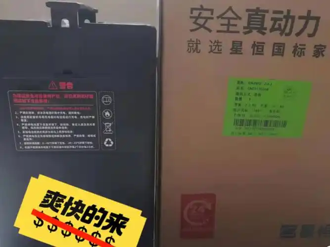 广东省内包邮全新星恒锂电48v24a