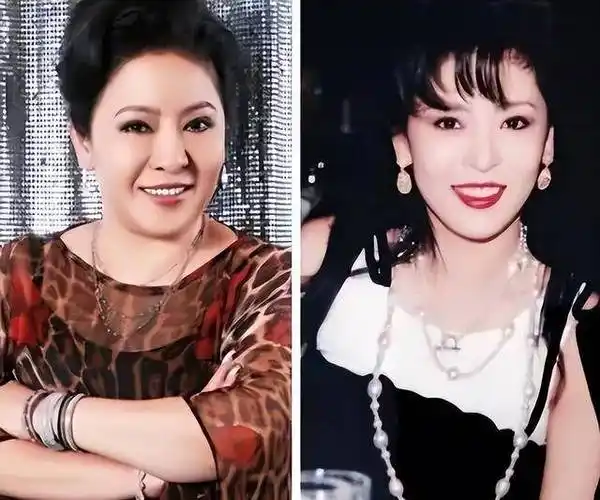 向太陈岚如今肥肥胖胖的,年轻时却是大美女,跟关之琳合照都不输_向华